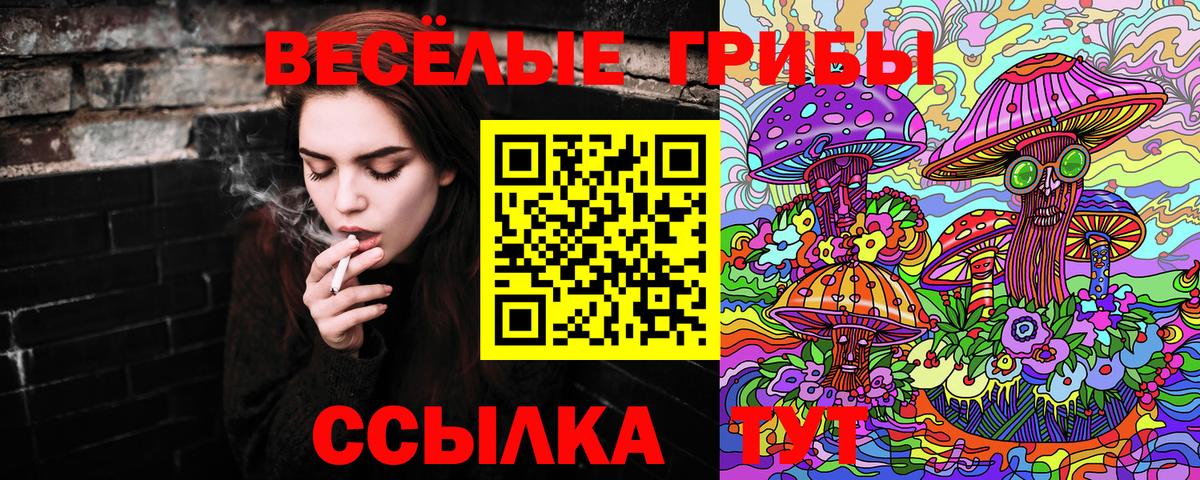 Псилоцибиновые грибы мицелий  наркота  Галлюциногенные грибы Cubensis  Саяногорск  Вход с VPN 